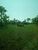 Fazenda, 7200 hectares - Foto 4