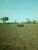 Fazenda, 7200 hectares - Foto 3