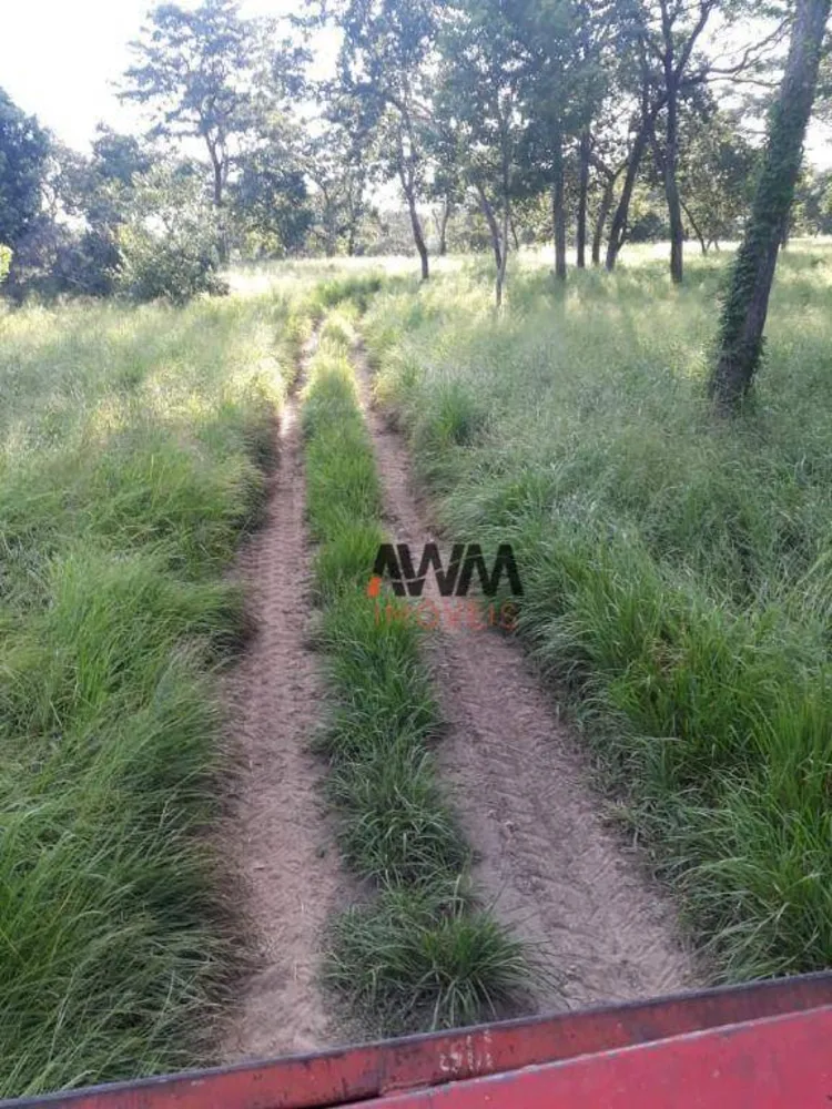 Fazenda, 3485 hectares - Foto 7
