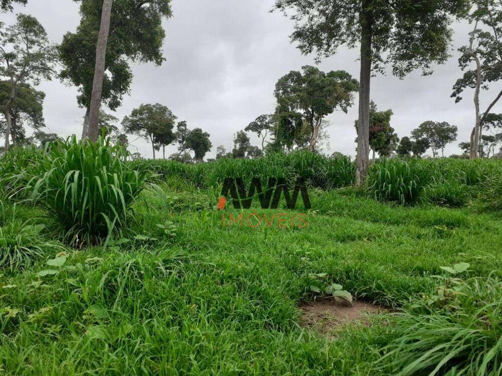 Fazenda, 3485 hectares - Foto 4