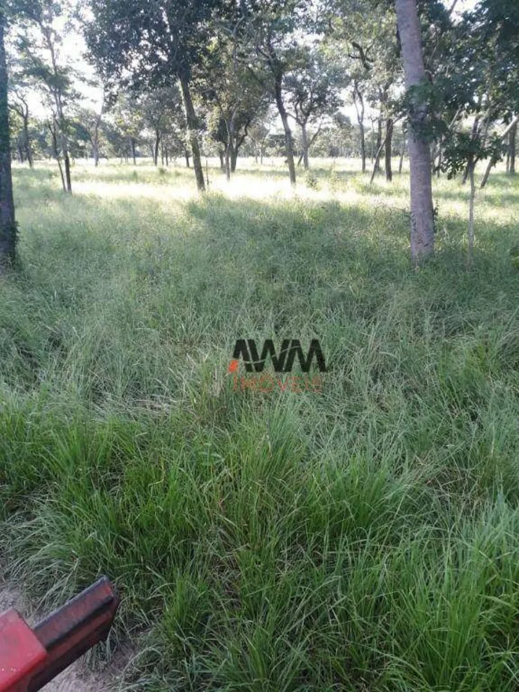 Fazenda, 3485 hectares - Foto 8