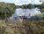 Fazenda-Sítio-Chácara, 3485 hectares - Foto 2
