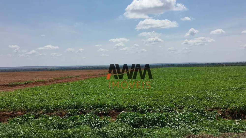 Fazenda, 2420 hectares - Foto 16