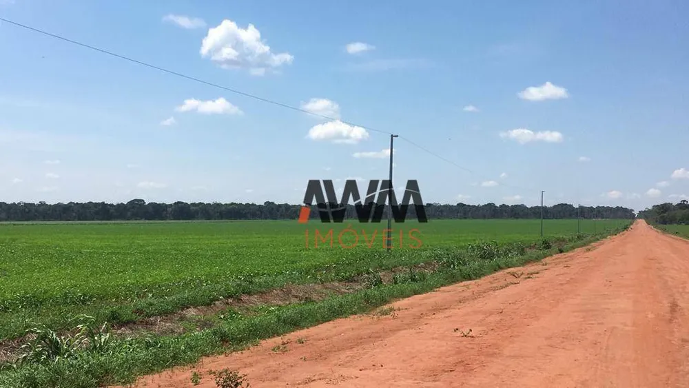 Fazenda, 2420 hectares - Foto 3