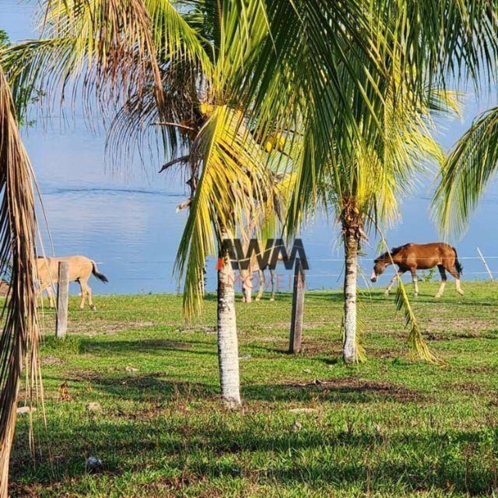 Fazenda à venda, 114830000M2 - Foto 4