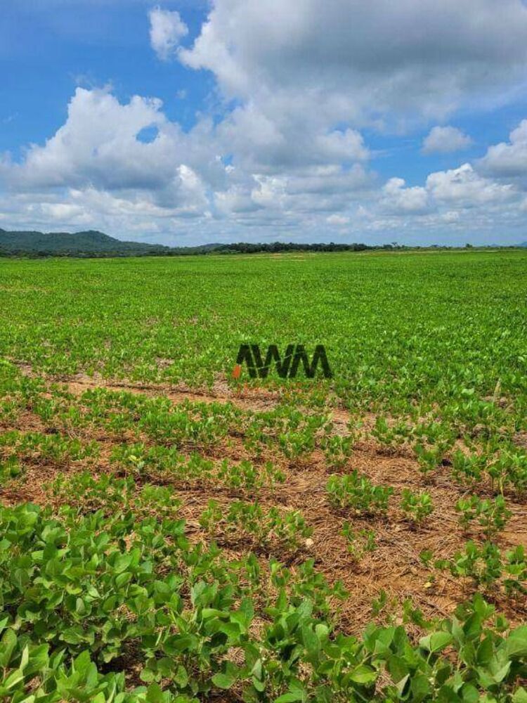 Fazenda à venda, 5130400M2 - Foto 2