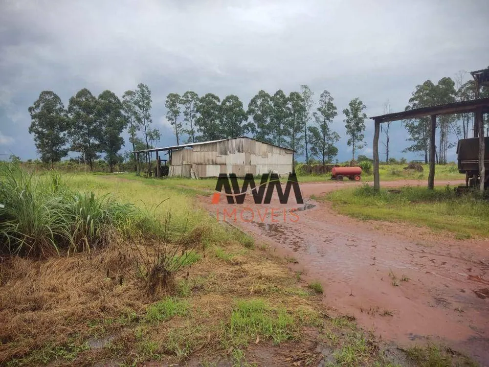 Fazenda, 3000 hectares - Foto 6