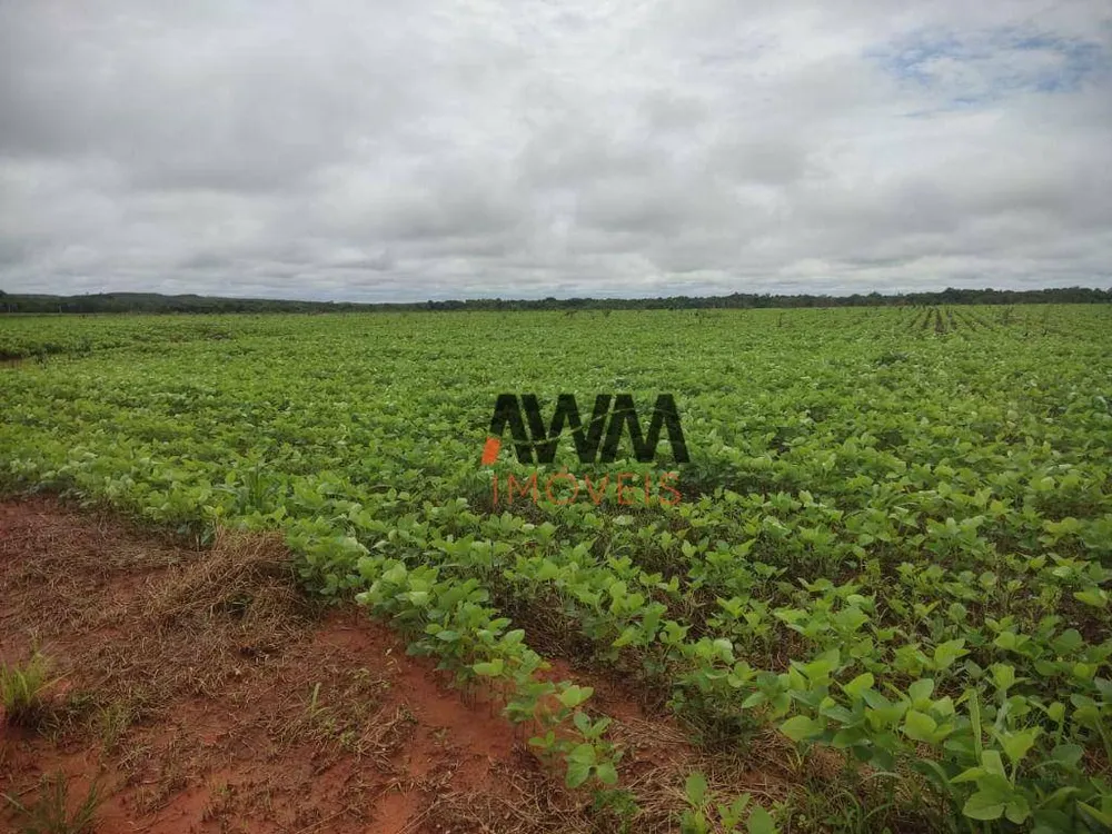 Fazenda, 3000 hectares - Foto 1
