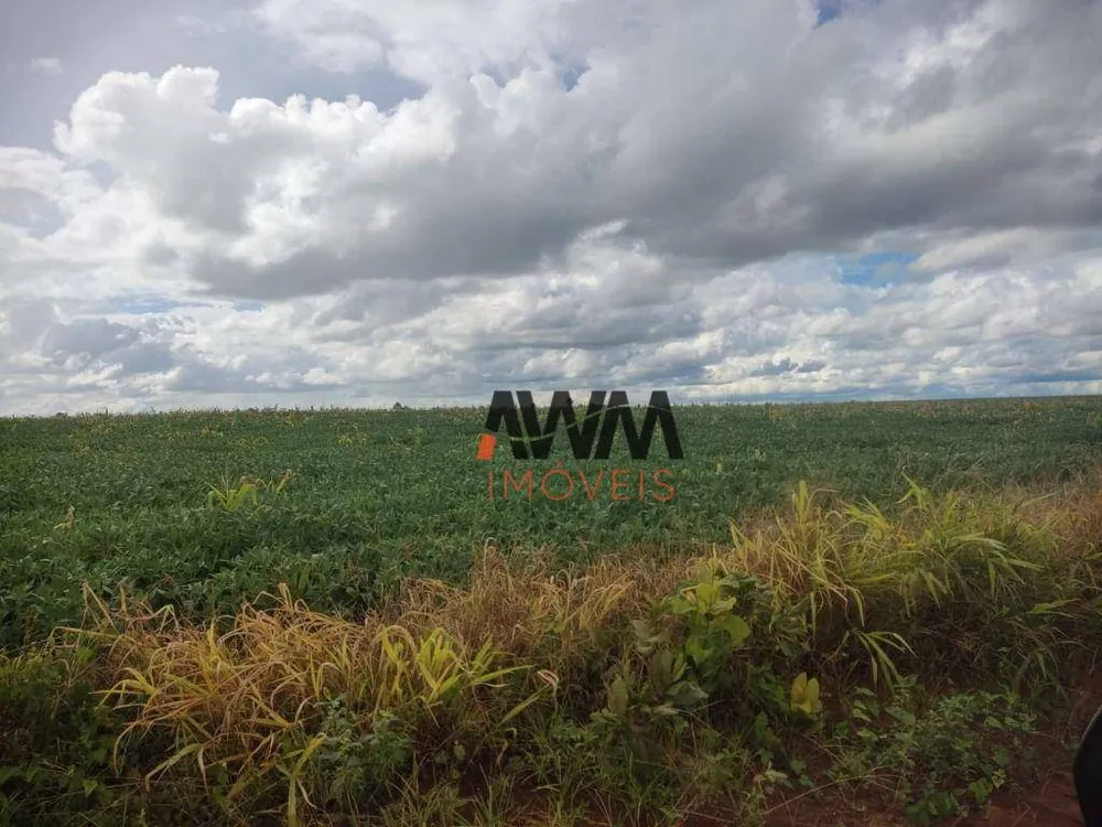 Fazenda, 3000 hectares - Foto 2