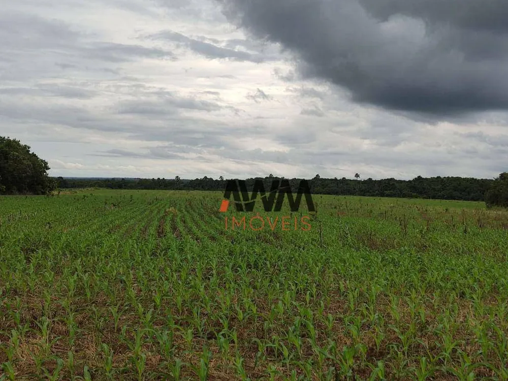 Fazenda, 3000 hectares - Foto 8
