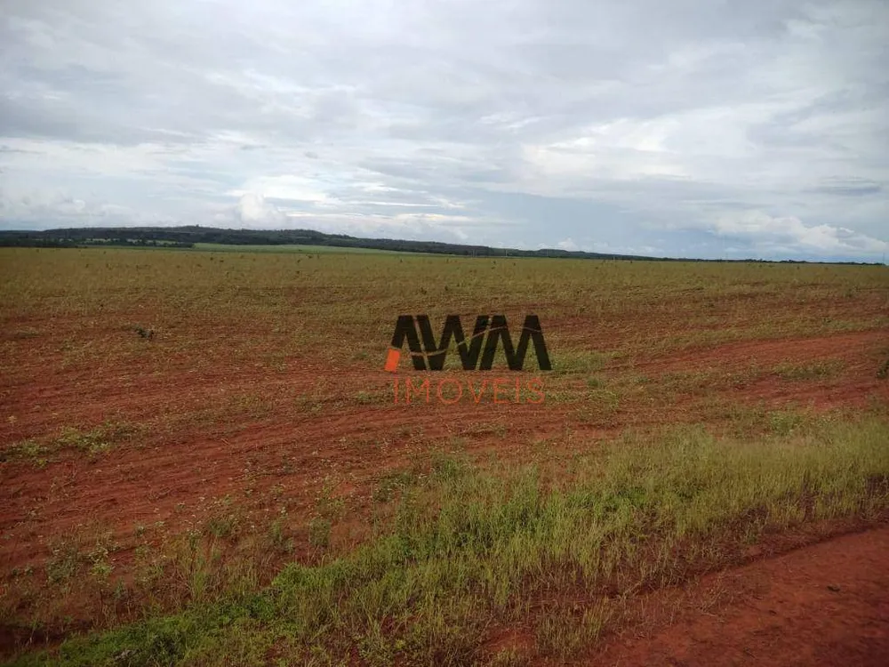 Fazenda, 3000 hectares - Foto 4
