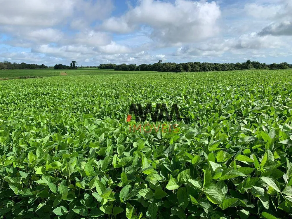 Fazenda, 477 hectares - Foto 7