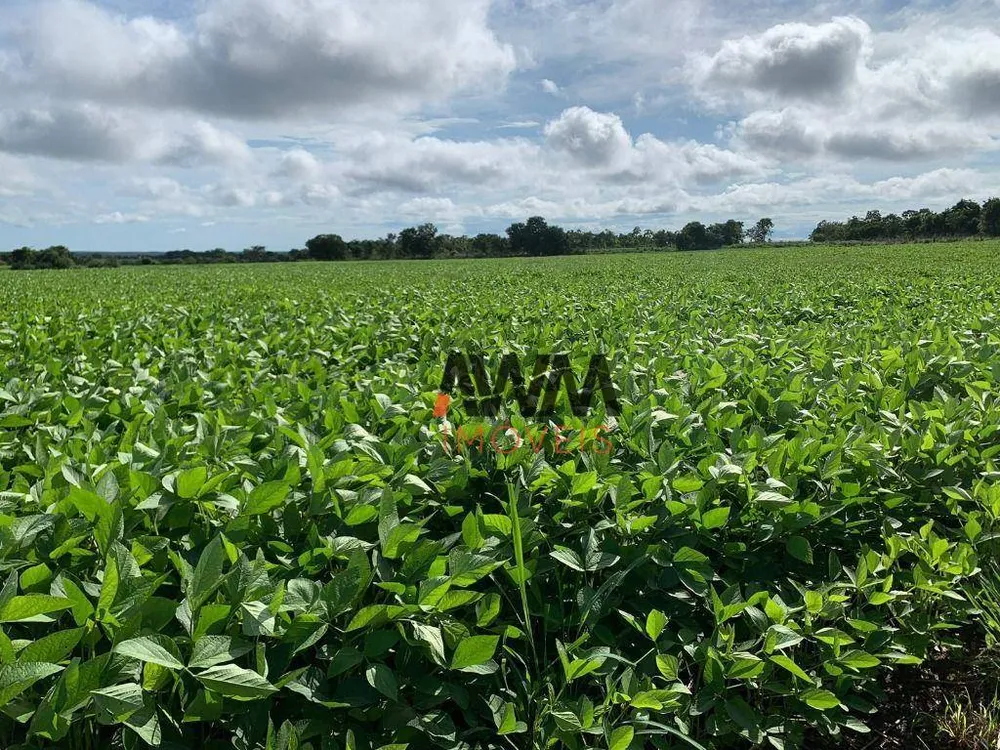 Fazenda, 477 hectares - Foto 6