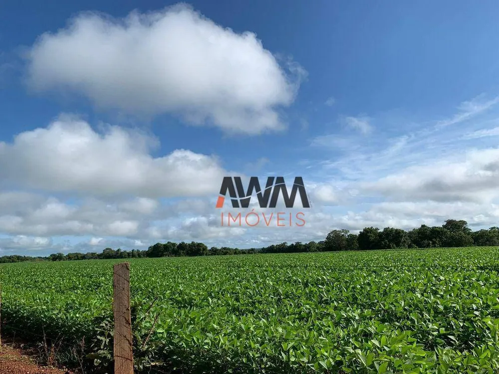Fazenda, 477 hectares - Foto 4