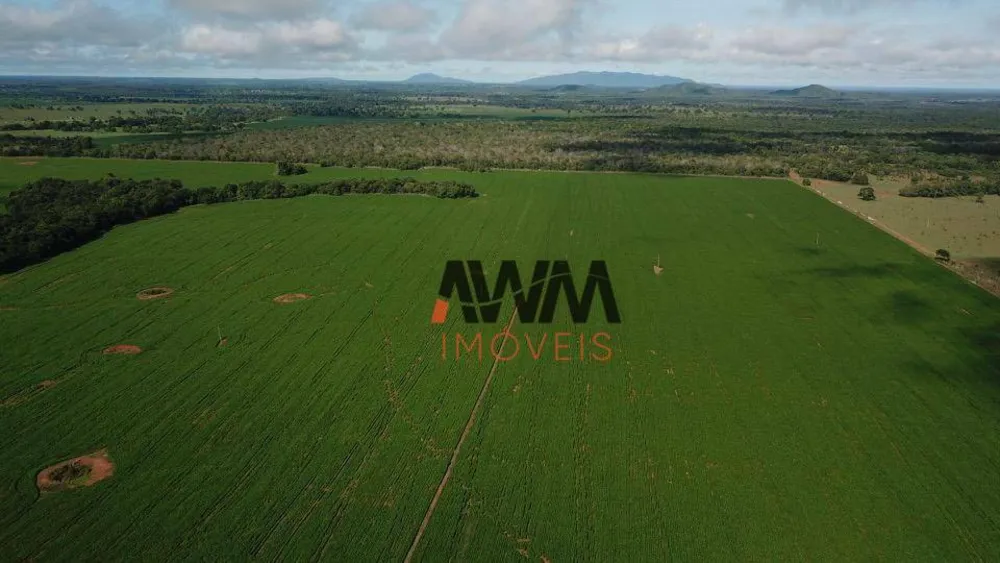 Fazenda, 477 hectares - Foto 10
