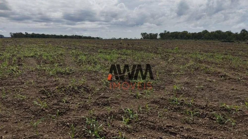 Fazenda, 3814 hectares - Foto 2