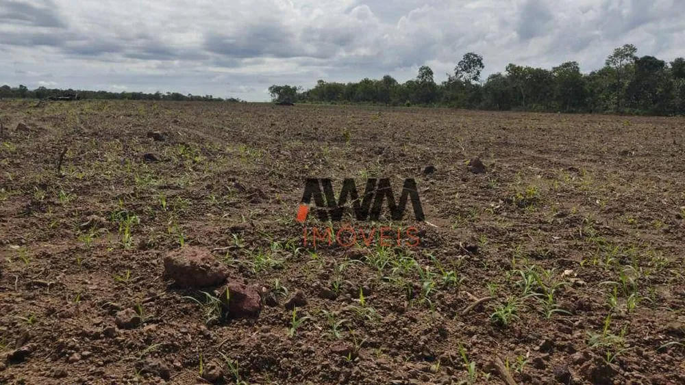 Fazenda, 3814 hectares - Foto 2