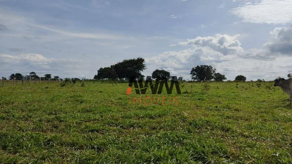Fazenda, 3814 hectares - Foto 3