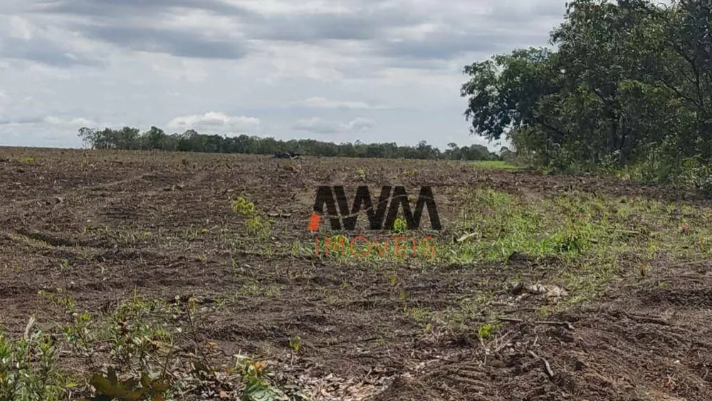 Fazenda, 3814 hectares - Foto 8