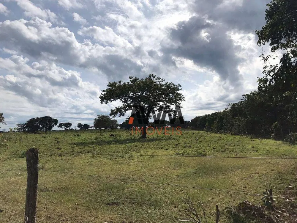 Fazenda, 3814 hectares - Foto 1