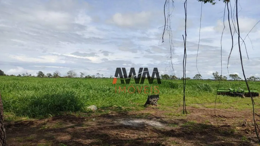 Fazenda, 3814 hectares - Foto 3