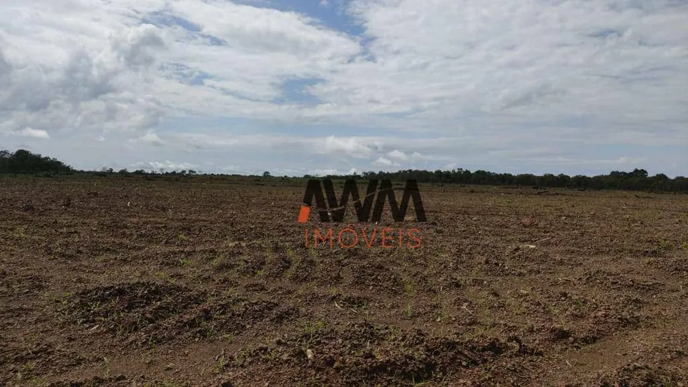 Fazenda, 3814 hectares - Foto 4