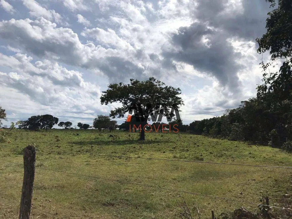 Fazenda, 3814 hectares - Foto 4