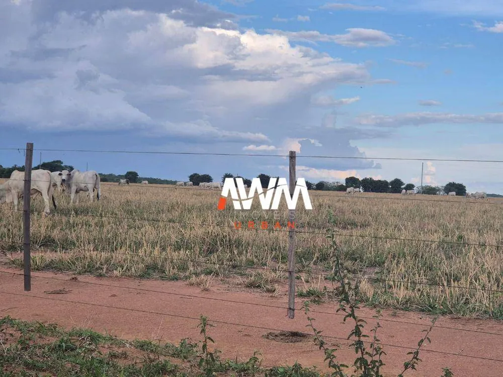 Fazenda, 944 hectares - Foto 8