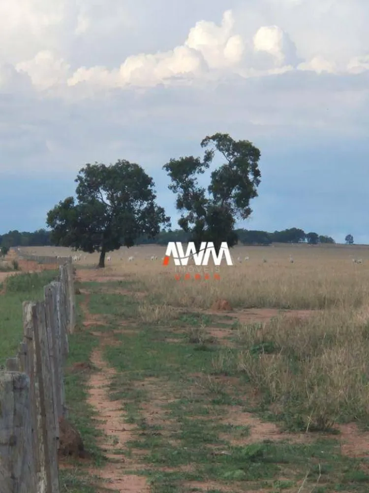 Fazenda, 944 hectares - Foto 12