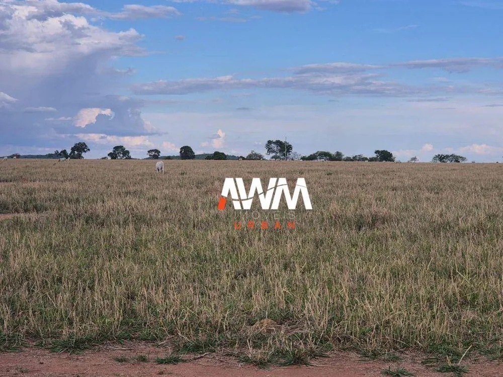 Fazenda, 944 hectares - Foto 9