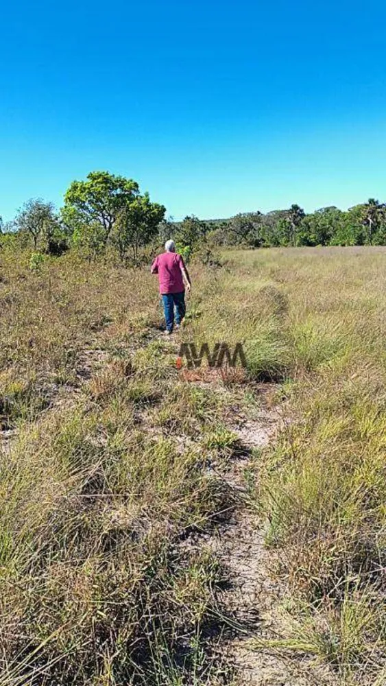 Fazenda, 412 hectares - Foto 7