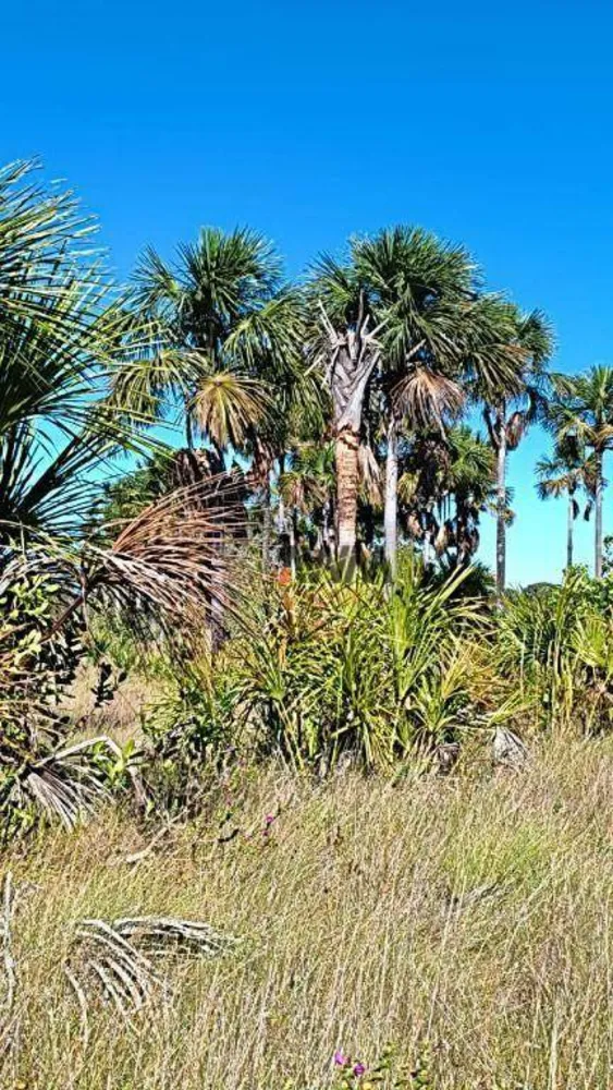 Fazenda, 412 hectares - Foto 1