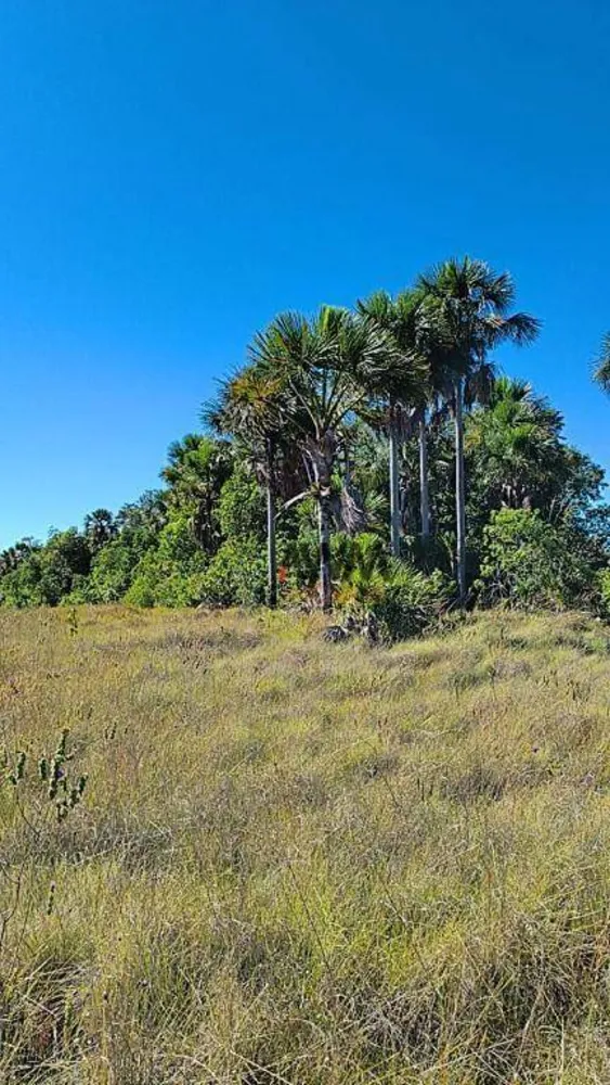 Fazenda, 412 hectares - Foto 3