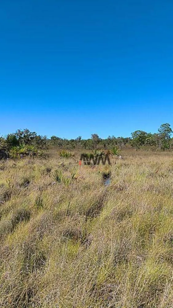 Fazenda, 412 hectares - Foto 6