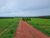 Fazenda, 1822 hectares - Foto 2