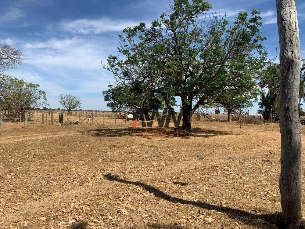 Fazenda, 1220 hectares - Foto 2