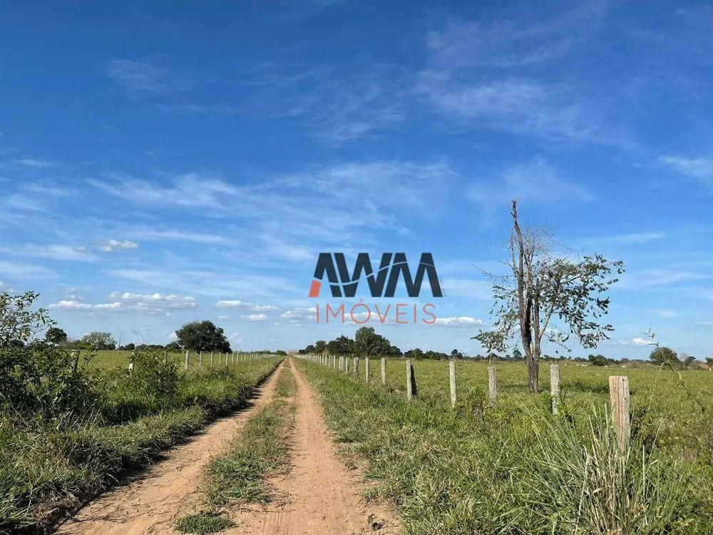 Fazenda, 1220 hectares - Foto 7