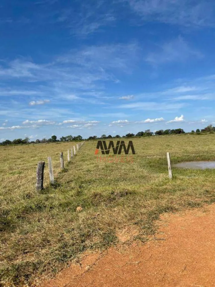 Fazenda, 1220 hectares - Foto 3