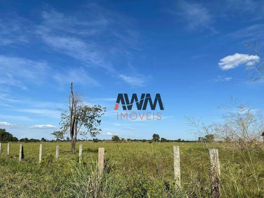 Fazenda, 1220 hectares - Foto 13