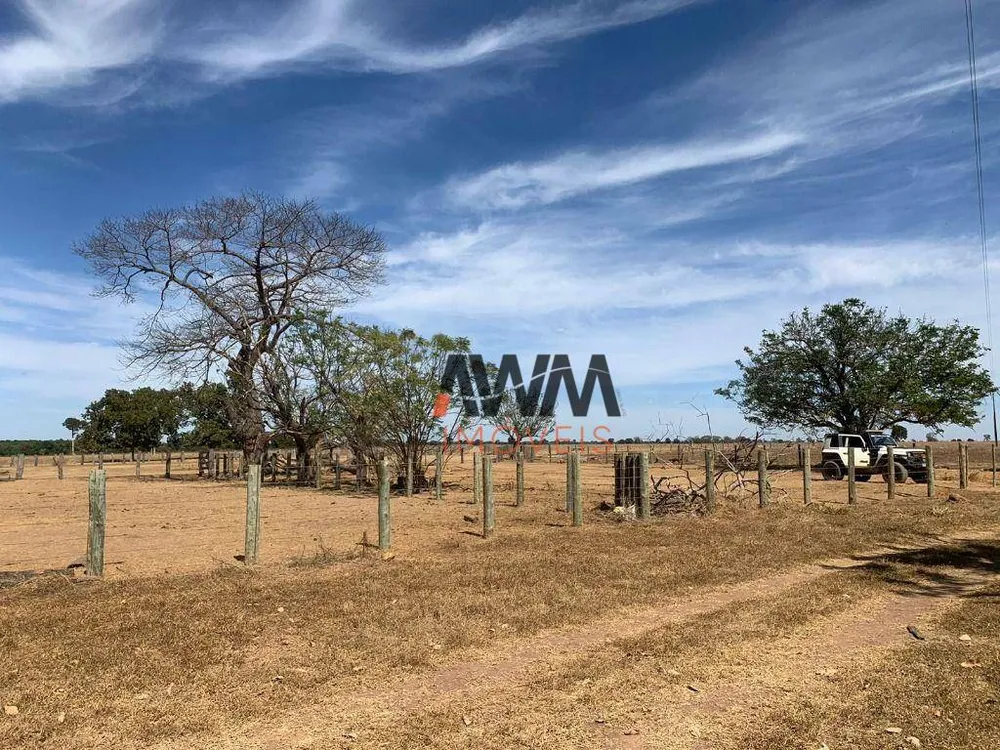 Fazenda, 1220 hectares - Foto 14