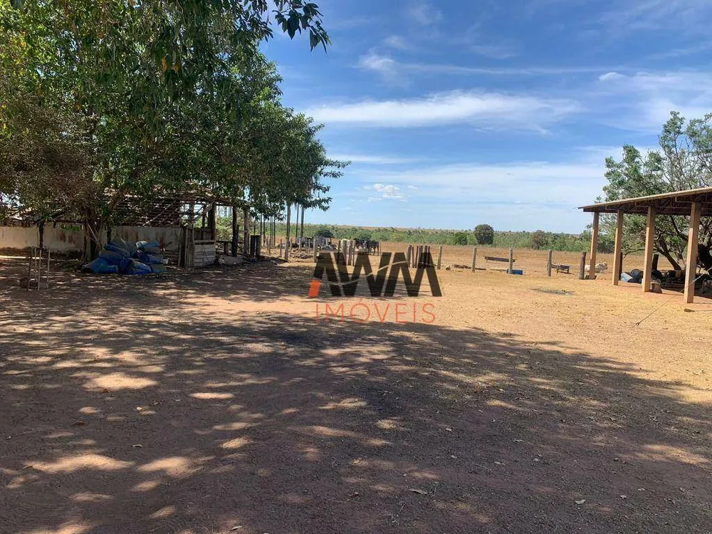 Fazenda, 1220 hectares - Foto 6