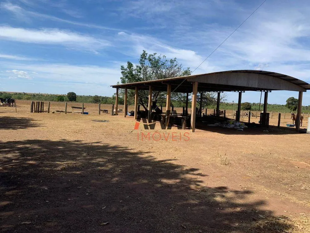 Fazenda, 1220 hectares - Foto 1