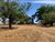 Fazenda, 1220 hectares - Foto 3