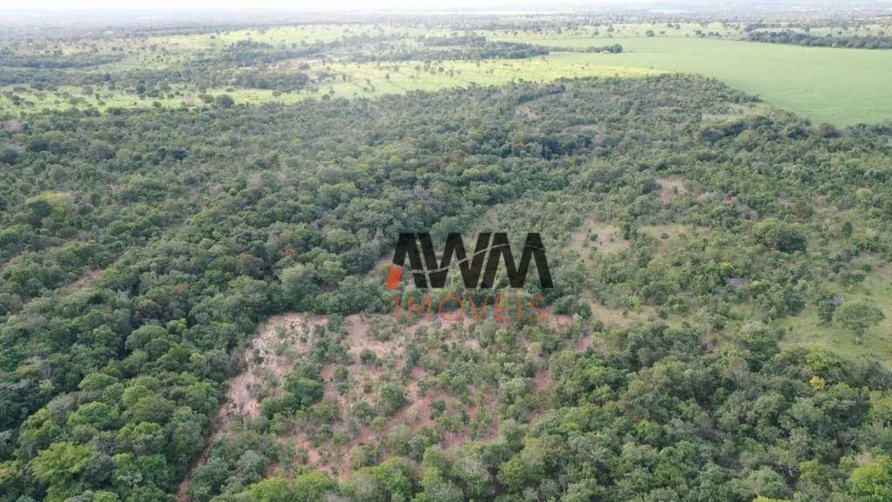 Fazenda, 242 hectares - Foto 11