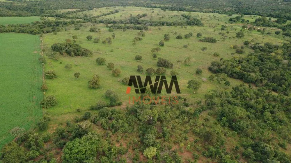 Fazenda, 242 hectares - Foto 7