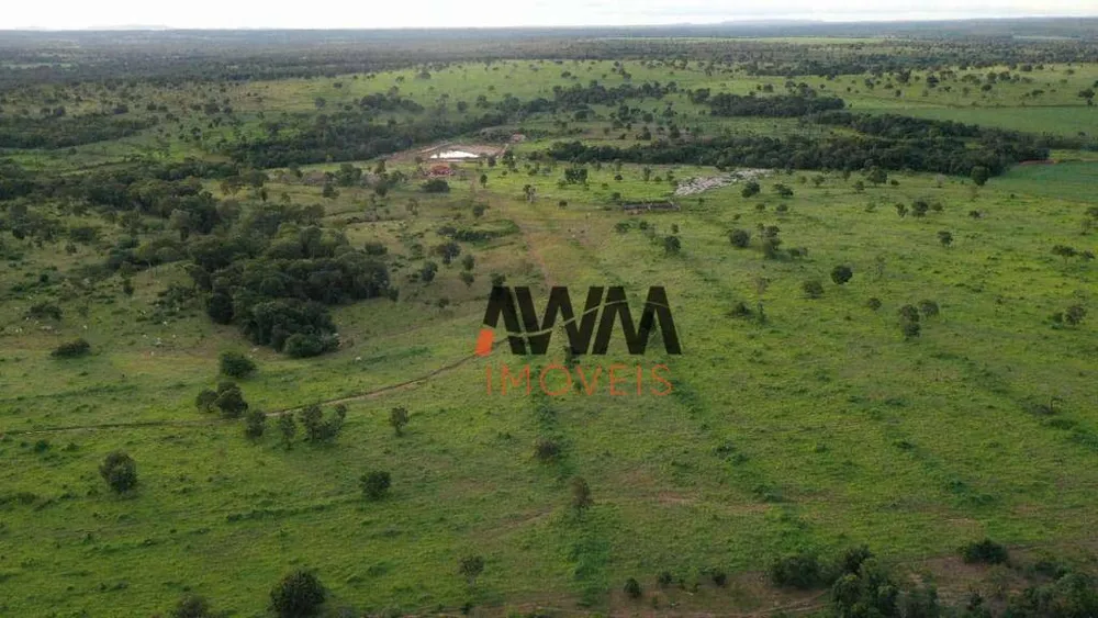 Fazenda, 242 hectares - Foto 4