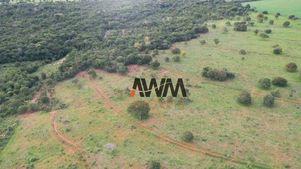 Fazenda, 242 hectares - Foto 6