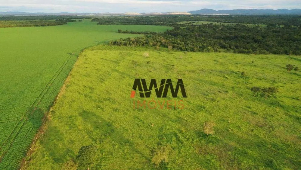 Fazenda, 242 hectares - Foto 8