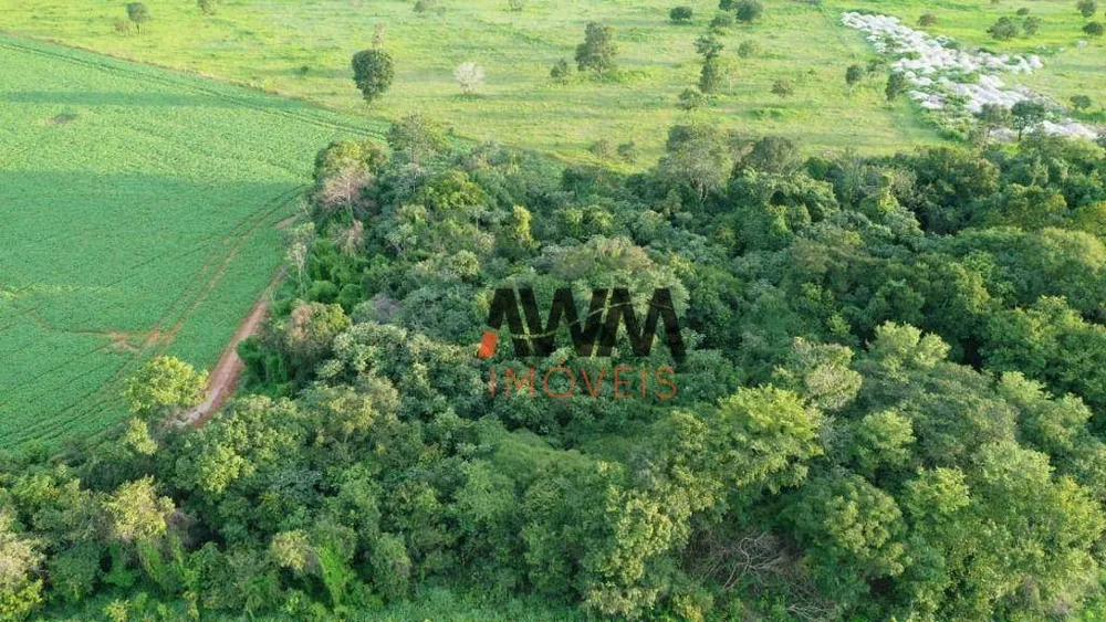 Fazenda, 242 hectares - Foto 3