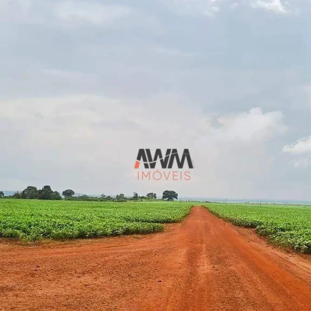 Fazenda, 4356 hectares - Foto 8